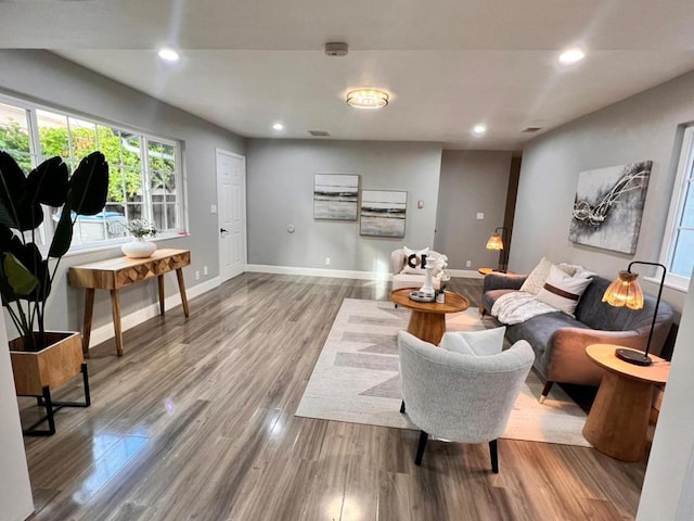 living room with hardwood / wood-style flooring