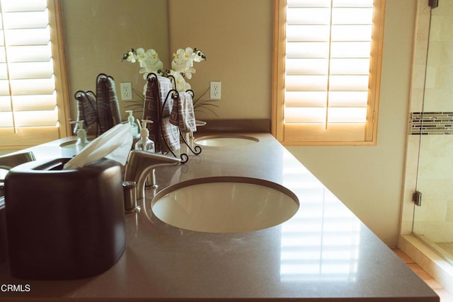 interior details with a shower and vanity