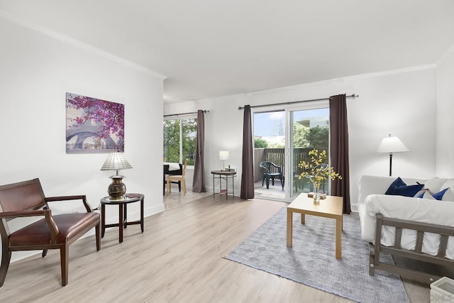 interior space with ornamental molding and light hardwood / wood-style floors