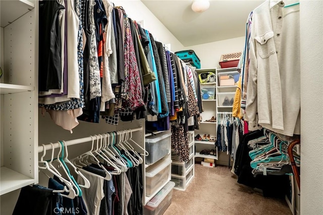 walk in closet featuring carpet