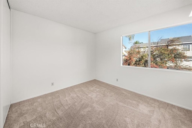 unfurnished room with carpet flooring