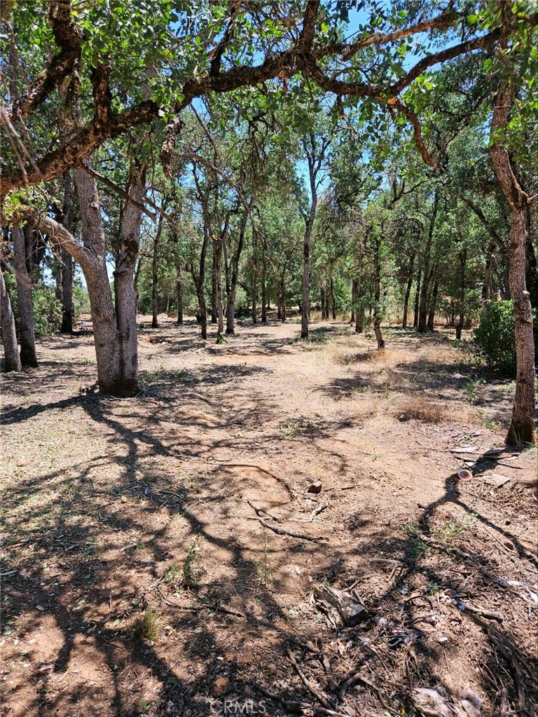 16288 12th Ave, Clearlake, CA 95422 - photo 1