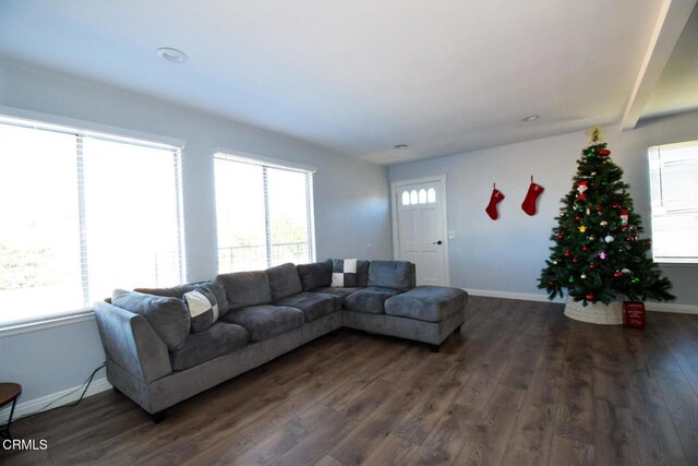 living room with dark hardwood / wood-style floors