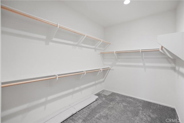 spacious closet with carpet