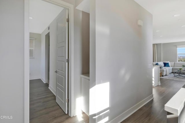 hall with dark hardwood / wood-style flooring