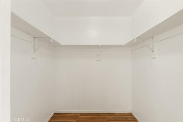 spacious closet featuring wood-type flooring