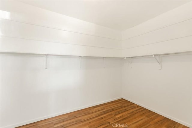 spacious closet featuring wood-type flooring