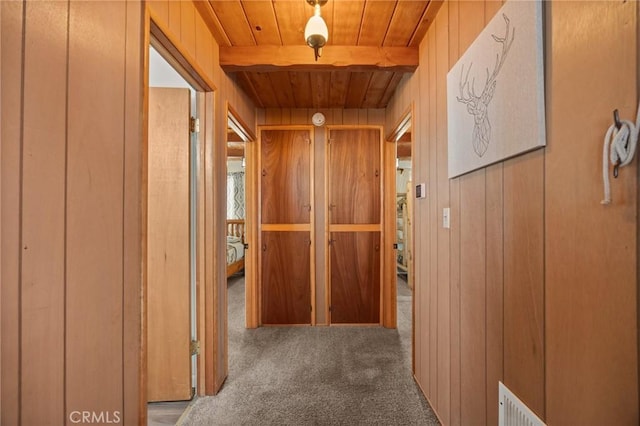 hallway featuring carpet floors, wooden ceiling, beamed ceiling, and wood walls