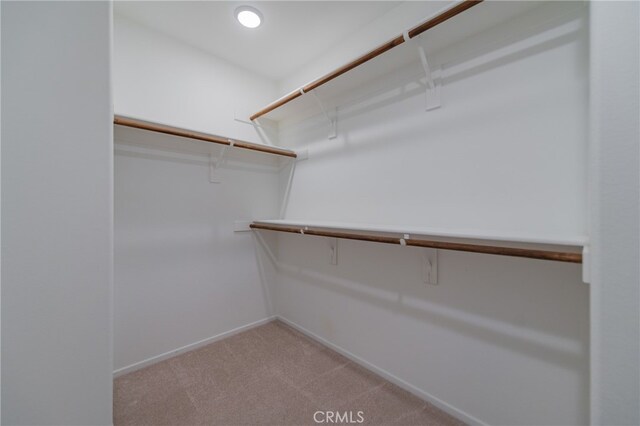 walk in closet with light carpet