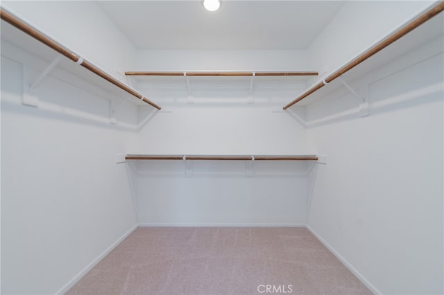 walk in closet featuring light colored carpet