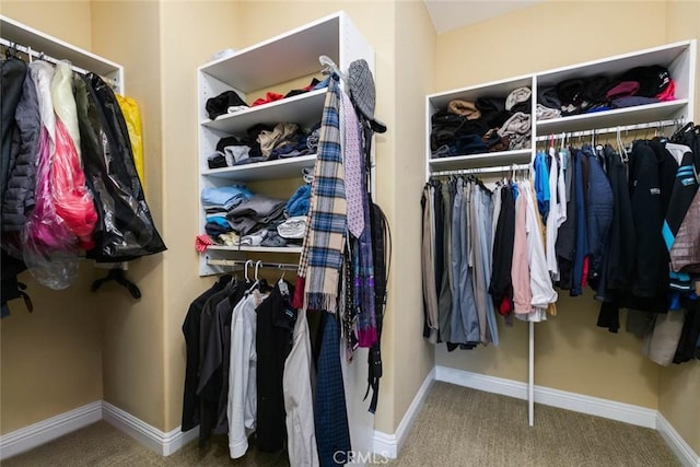 spacious closet with carpet flooring