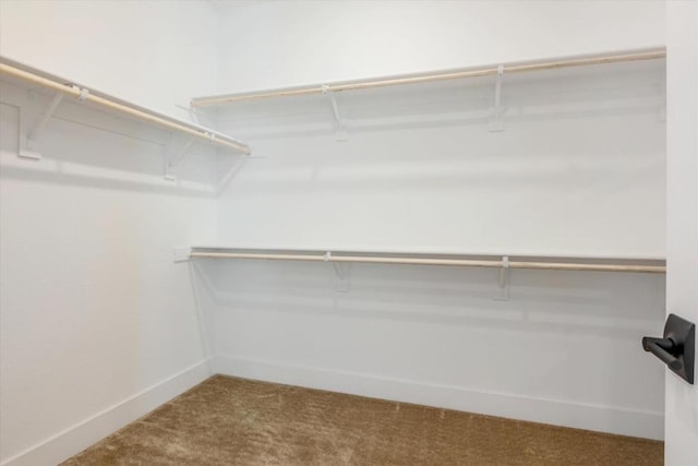 spacious closet with carpet floors