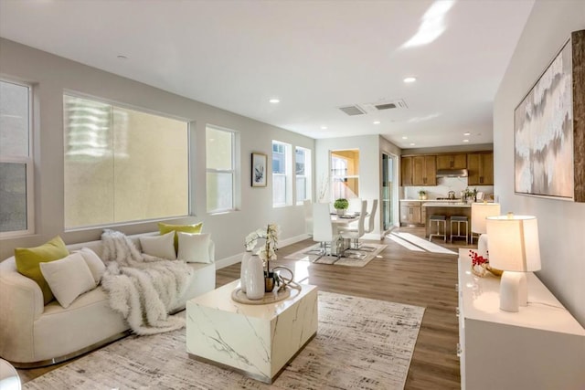 living room featuring hardwood / wood-style flooring