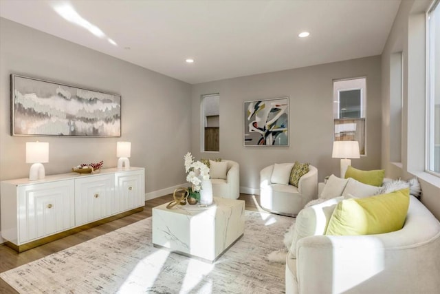 living room with light hardwood / wood-style flooring