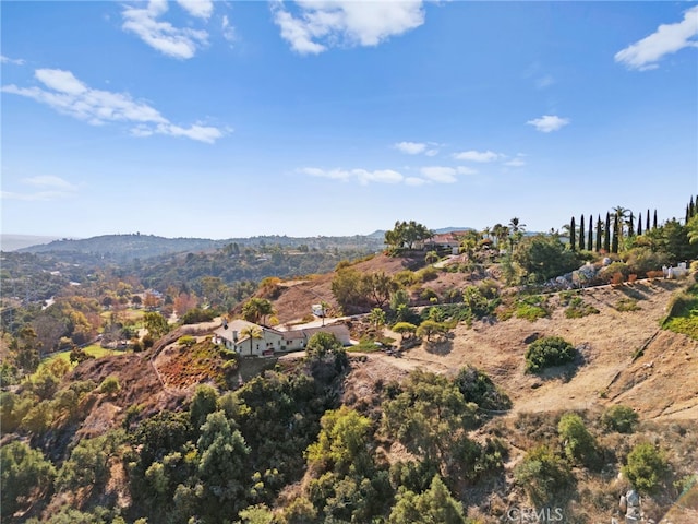 2240 Aqua Hill Rd, Fallbrook, CA 92028 - view of mountain background