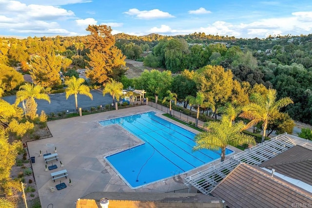 view of pool with a patio area