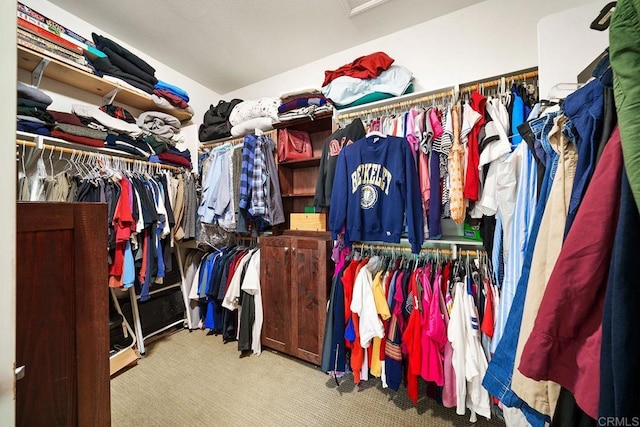 spacious closet featuring carpet flooring