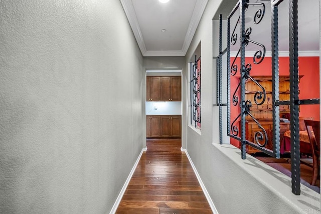 hallway with ornamental molding and dark hardwood / wood-style flooring