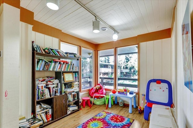 playroom featuring rail lighting, plenty of natural light, and light hardwood / wood-style floors