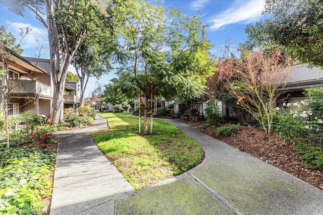 view of home's community with a lawn