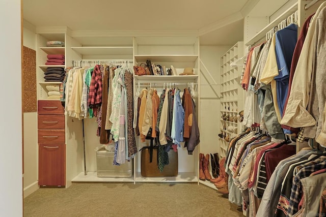 walk in closet featuring carpet flooring