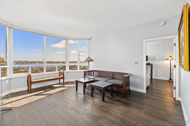 living room with dark hardwood / wood-style flooring