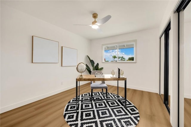 office featuring ceiling fan and hardwood / wood-style flooring