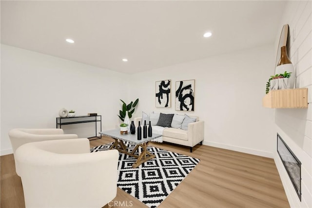 living room with wood-type flooring