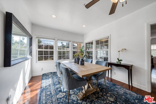 dining area with ceiling fan and hardwood / wood-style flooring