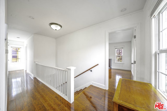 hallway with dark hardwood / wood-style flooring and crown molding