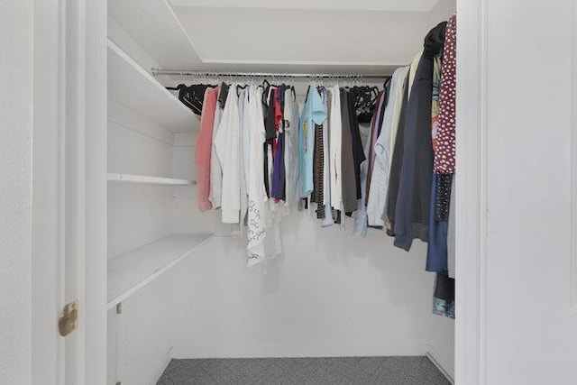 spacious closet with carpet