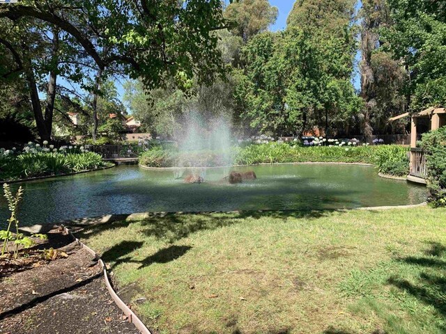 view of property's community featuring a small pond