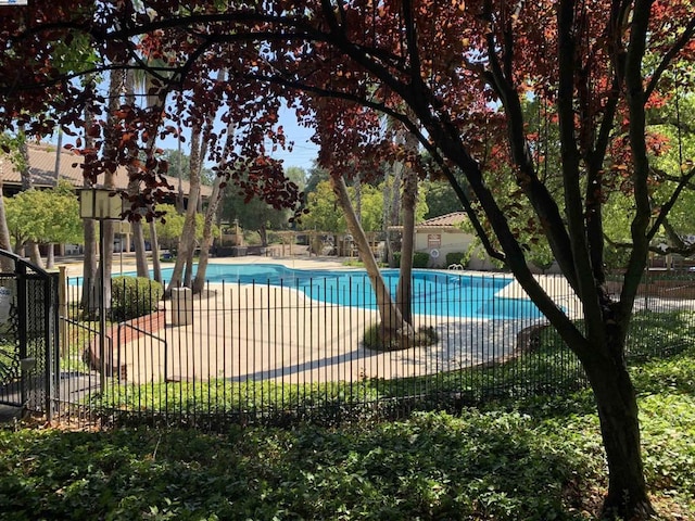 view of swimming pool