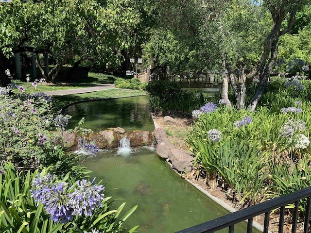 view of home's community with a small pond