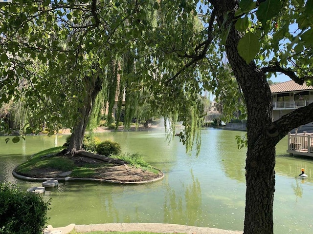 view of water feature