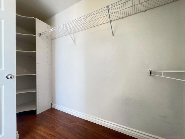 walk in closet with dark hardwood / wood-style floors