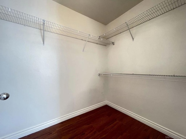 walk in closet featuring hardwood / wood-style flooring