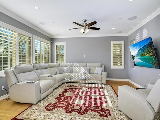 living room featuring ceiling fan, crown molding, and light hardwood / wood-style floors