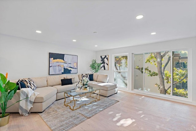 living room featuring light hardwood / wood-style flooring