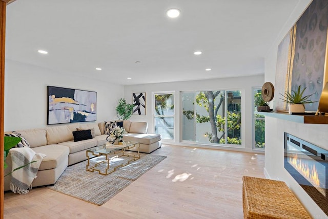 living room with light hardwood / wood-style flooring