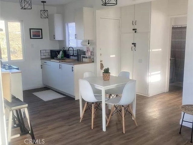 dining room with dark hardwood / wood-style flooring