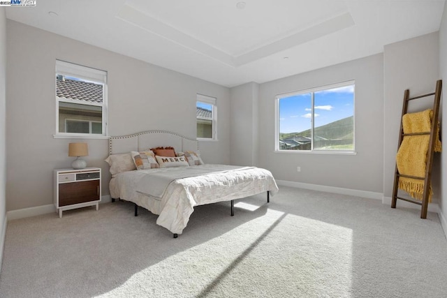 bedroom featuring light colored carpet and a tray ceiling