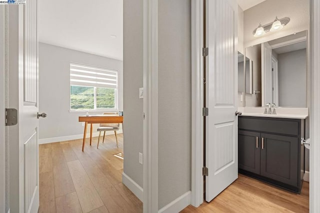 bathroom with vanity and wood-type flooring