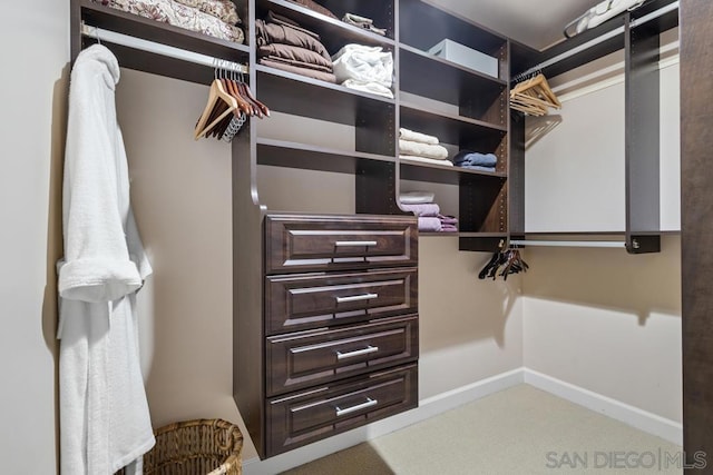 walk in closet with carpet