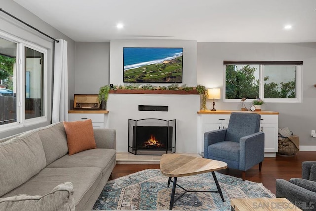 living room with dark hardwood / wood-style flooring