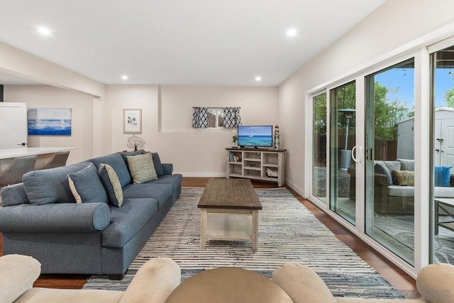 living room with wood-type flooring