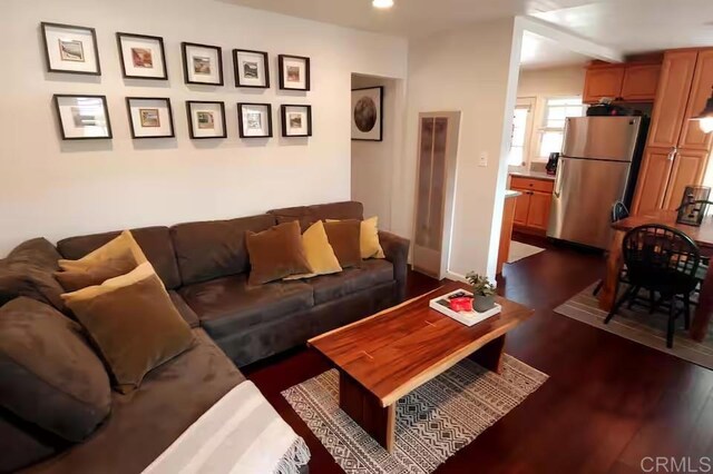 living room featuring dark hardwood / wood-style flooring