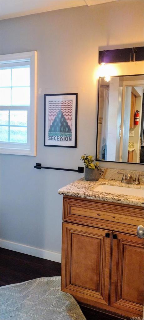 bathroom with hardwood / wood-style floors and vanity