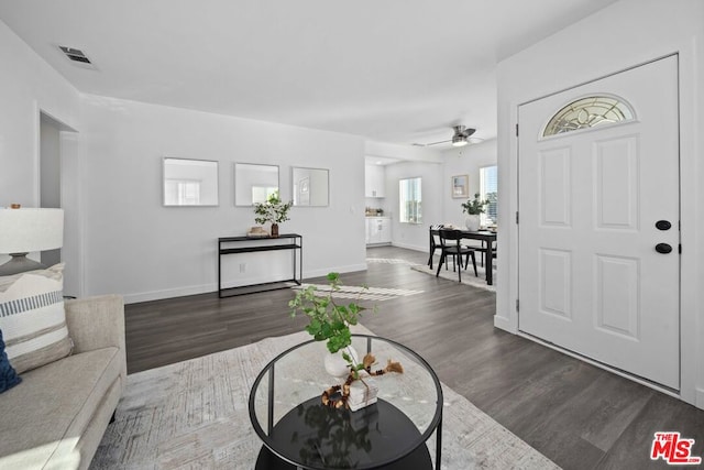 living room featuring ceiling fan and dark wood-type flooring