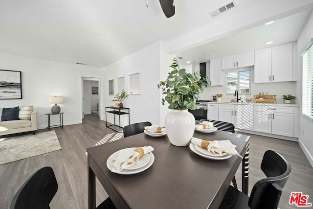 dining room featuring ceiling fan, sink, and hardwood / wood-style floors